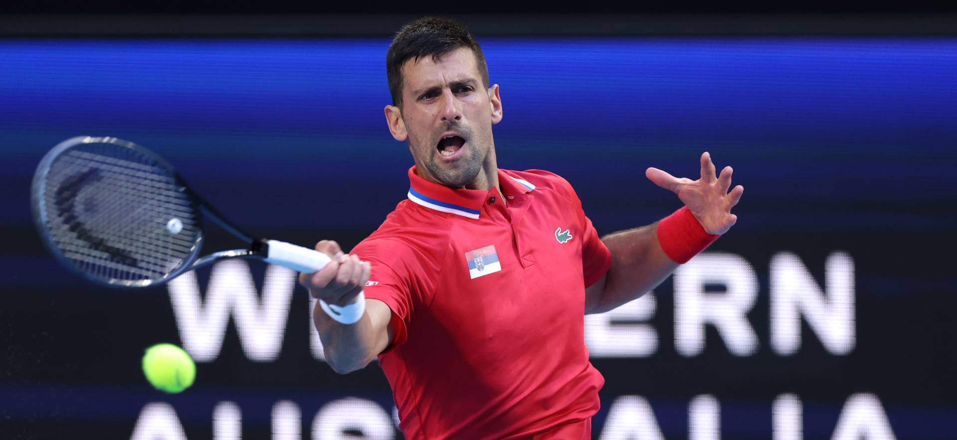 Abierto de Australia: los favoritos para ganar el título del 2024 ...