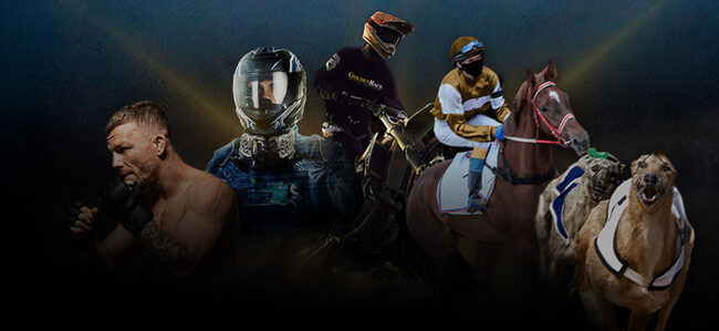 Aprende a jugar deportes virtuales