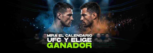calendario ufc