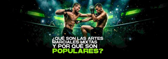 cuales son las artes marciales mixtas